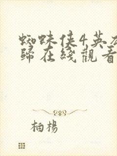 蜘蛛侠4英雄无归在线观看免费