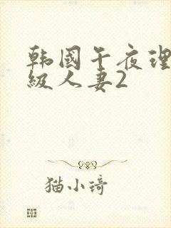 韩国午夜理伦三级人妻2