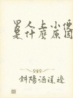 男人上小便会疼是什么原因