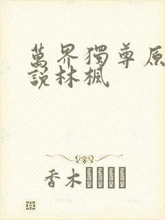 万界独尊原著小说林枫