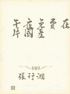 午夜免费在线看片国产