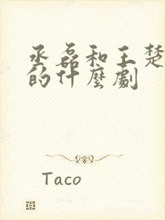 丞磊和王楚然演的什么剧