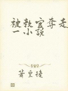 被教官夺走的第一小说