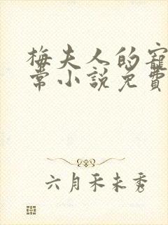 梅夫人的宠夫日常小说免费阅读