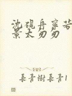 沈砚舟宁若曦盛景太匆匆