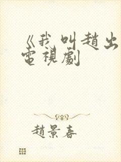 《我叫赵出息》电视剧封面