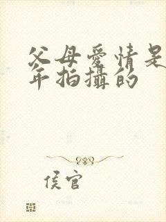 父母爱情是哪一年拍摄的