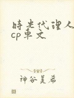 时光代理人黑白cp车文