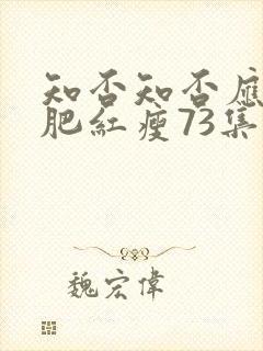 知否知否应是绿肥红瘦73集