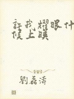 许我耀眼什么时候上映封面