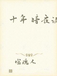 十年 暗夜流光封面