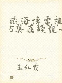 藏海传电视剧第5集在线观看封面