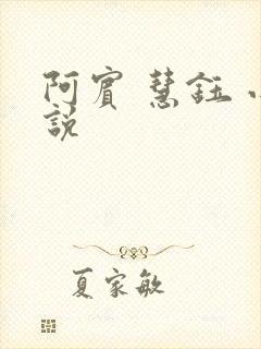阿宾 慧钰 小说