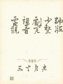 电视剧少帅在线观看完整版免费观看