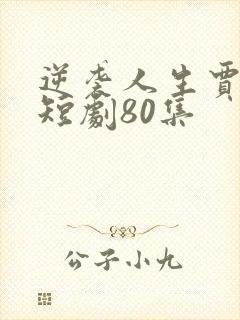 逆袭人生贾二虎短剧80集