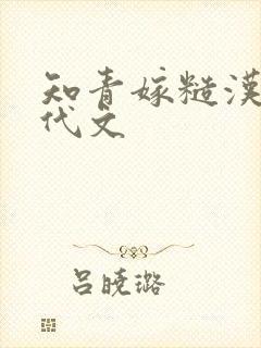 知青嫁糙汉的年代文