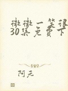 微微一笑很倾城30集免费下载封面