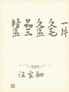 精品久久一区二区三区毛片