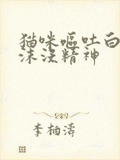 猫咪呕吐白色泡沫没精神