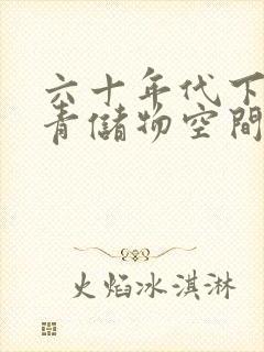 六十年代下乡知青储物空间