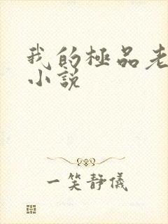 我的极品老婆听小说