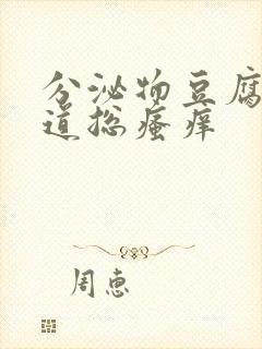 分泌物豆腐渣阴道总瘙痒