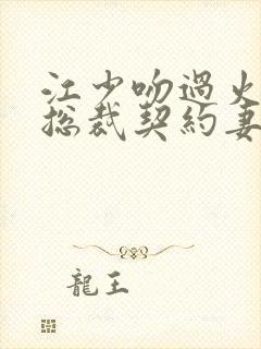 江少吻过火闪婚总裁契约妻全集免费阅读封面