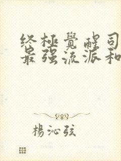 终极觉醒司空震最强流派和天赋封面