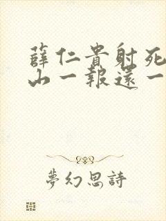 薛仁贵射死薛丁山一报还一报