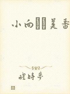 小向まな美番号封面