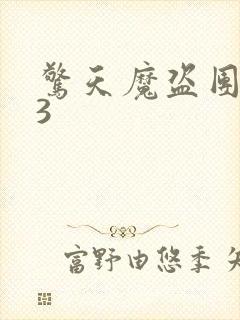 惊天魔盗团电影3