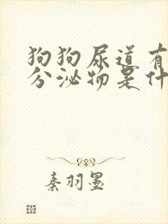 狗狗尿道有黄色分泌物是什么原因?