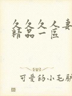 久久久人妻少妇精品一区