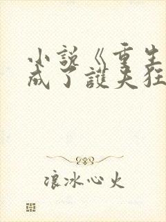 小说《重生后我成了护夫狂魔》