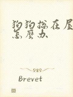 狗狗总在屋里尿怎么办封面