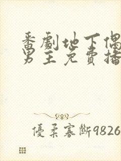 番剧地下偶像双男主免费播放