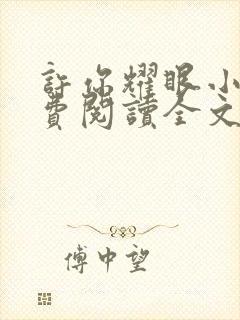 许你耀眼小说免费阅读全文封面