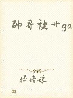 帅哥被艹gay封面