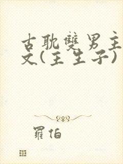 古耽双男主生子文(主生子)