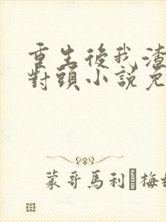 重生后我渣了死对头小说免费阅读