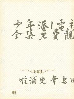 少年派1电视剧全集免费观看高清