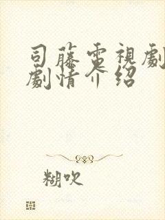 司藤电视剧分集剧情介绍