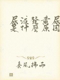 尿液发黄尿不尽是什么原因女性