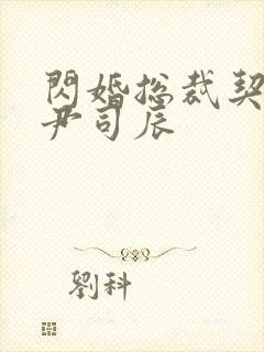 闪婚总裁契约妻尹司辰封面