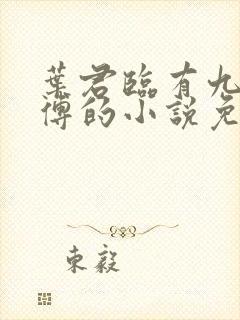 叶君临有九个师傅的小说免费阅读