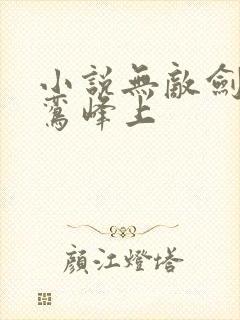 小说无敌剑域青鸾峰上