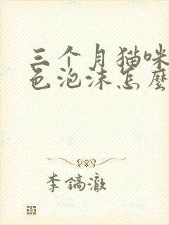 三个月猫咪吐白色泡沫怎么办