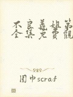 不良义姐第一季全集免费观看高清在线