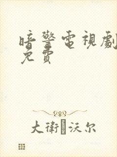 暗警电视剧全集免费