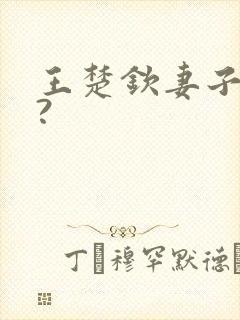 王楚钦妻子是谁?